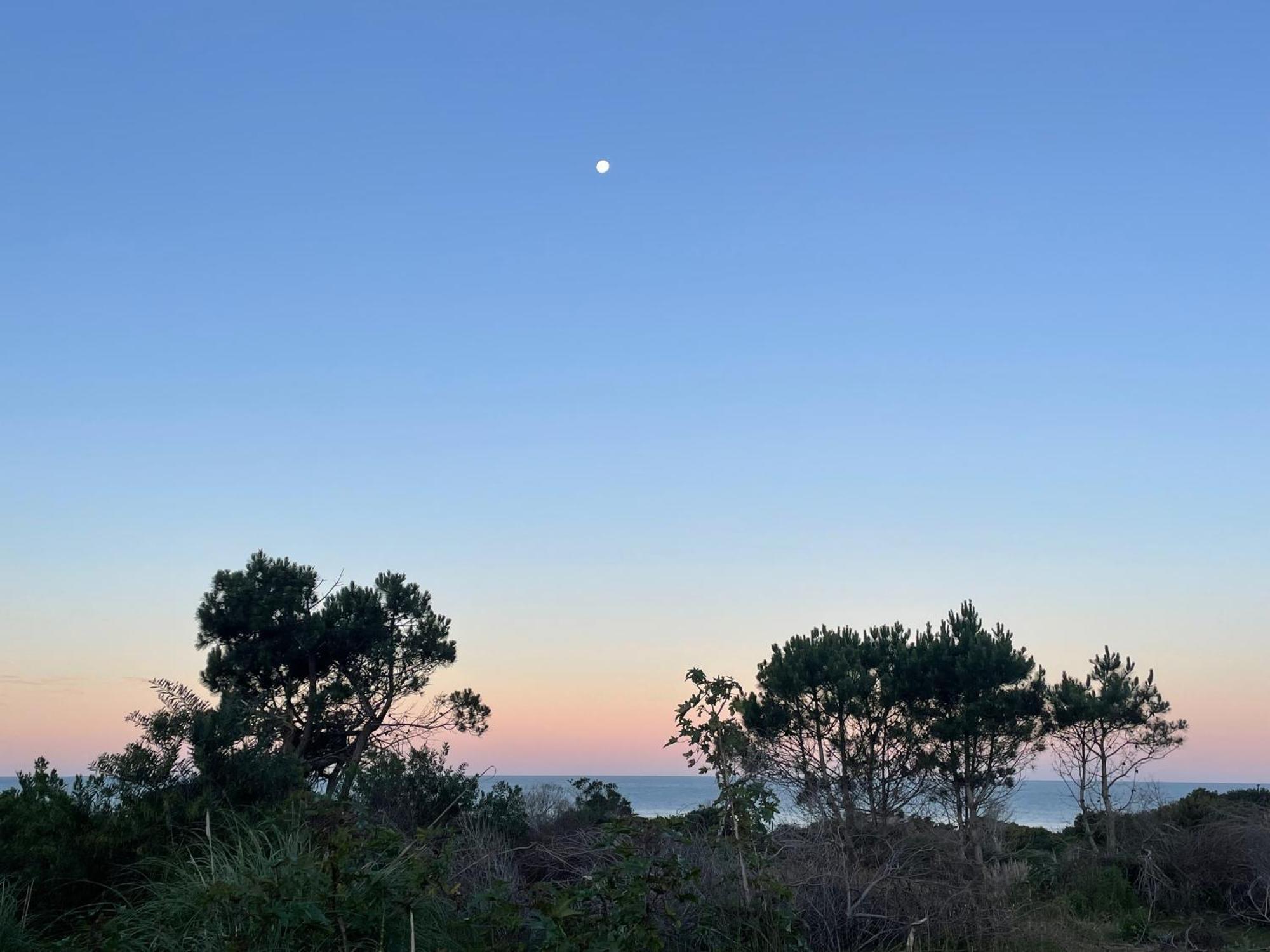 Eco Boutique B&B Punta Del Diablo Εξωτερικό φωτογραφία